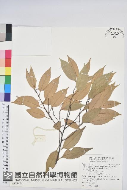 白校欑藏品圖，第1張