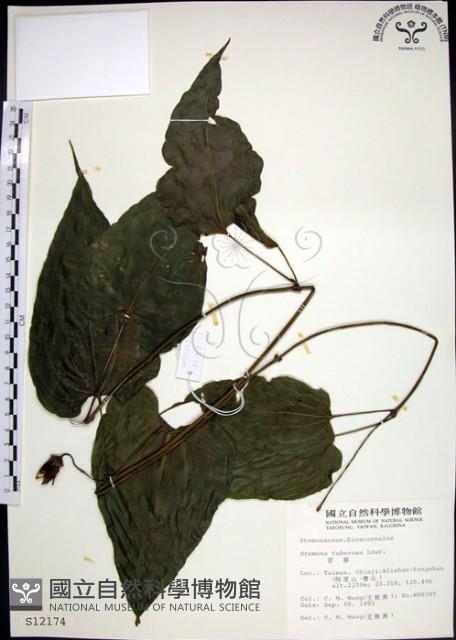 百部藏品圖，第1張