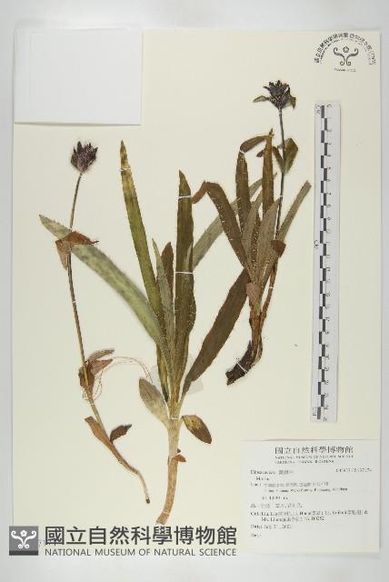 登錄號:S137174藏品圖，第1張