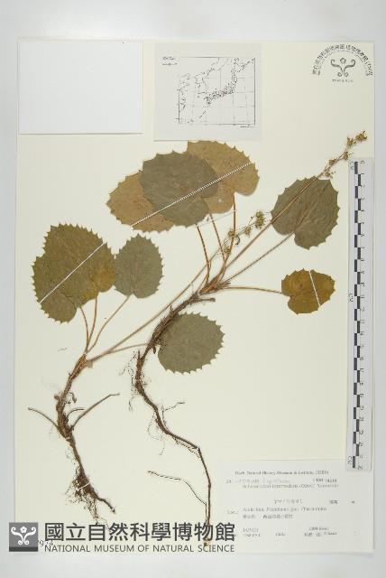 登錄號:S107974藏品圖，第1張