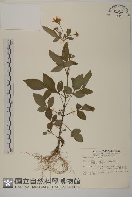 Accession Number:S003574 Collection Image, Figure 1, Total 2 Figures