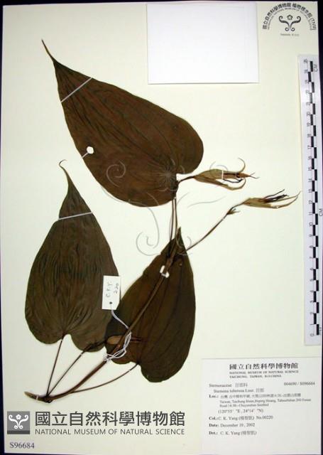 百部藏品圖，第1張