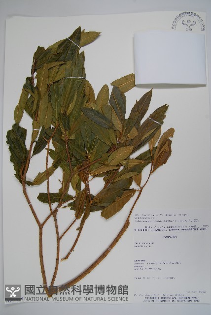 登錄號:S054684藏品圖，第1張