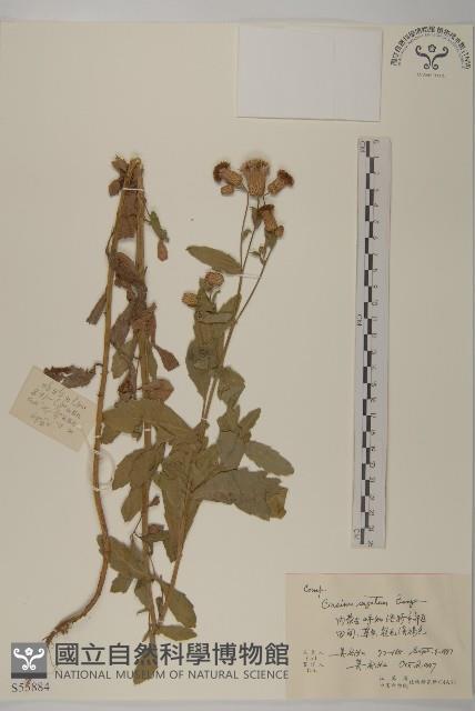 登錄號:S055884藏品圖，第1張