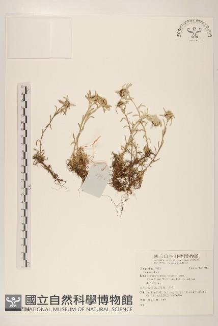 Accession Number:S137584 Collection Image, Figure 1, Total 2 Figures