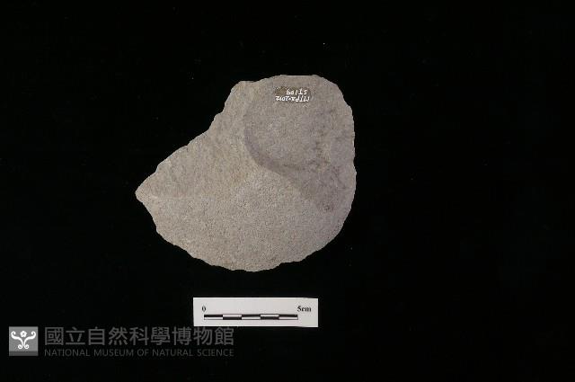 石片器藏品圖，第1張