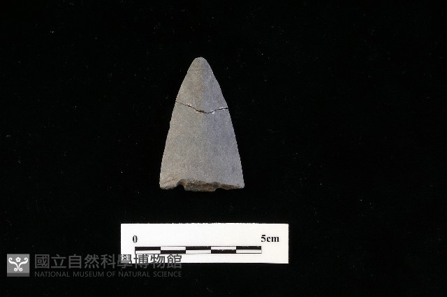 矛鏃形器藏品圖，第1張