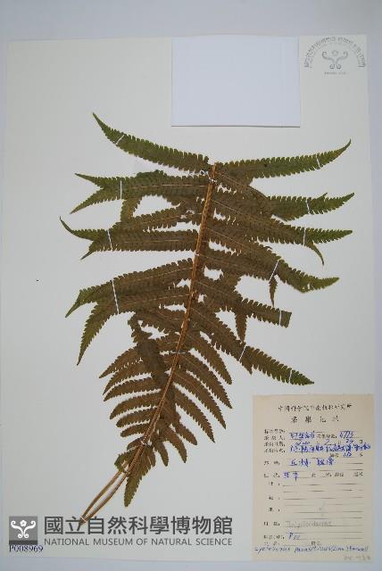 Accession Number:P008969 Collection Image, Figure 1, Total 2 Figures