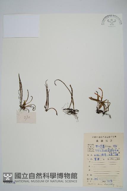 廬山瓦葦藏品圖，第1張