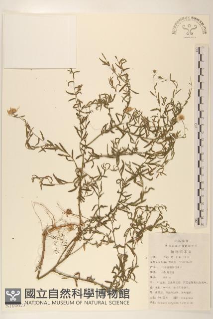 Accession Number:S104623 Collection Image, Figure 1, Total 2 Figures