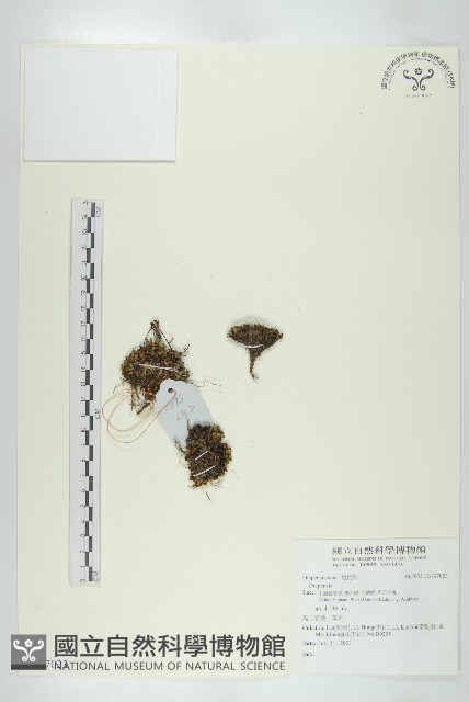 登錄號:S137023藏品圖，第1張