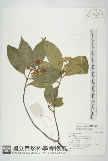 登錄號:S136723藏品圖，第1張