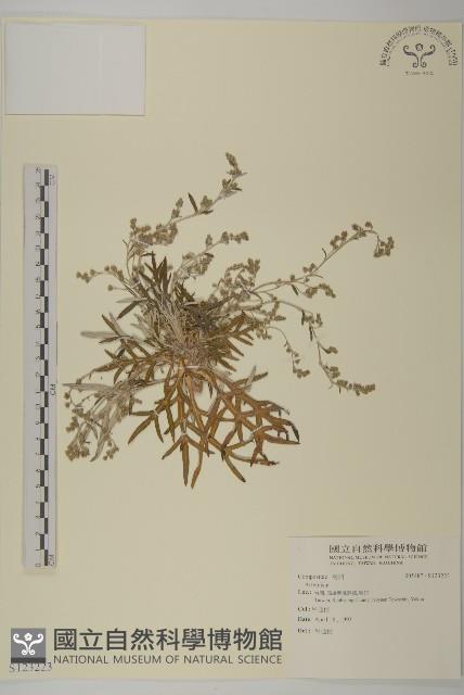 登錄號:S123223藏品圖，第1張