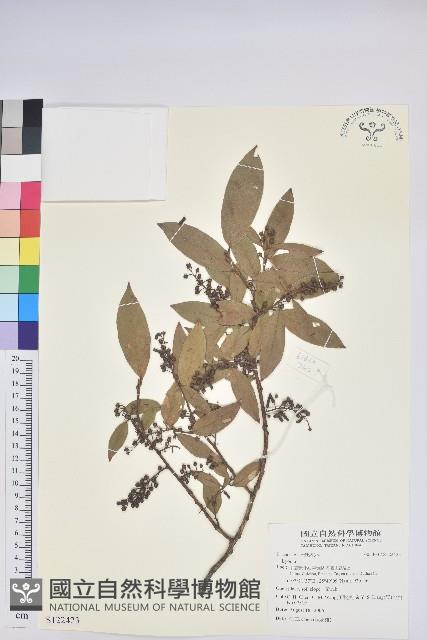 登錄號:S122423藏品圖，第1張