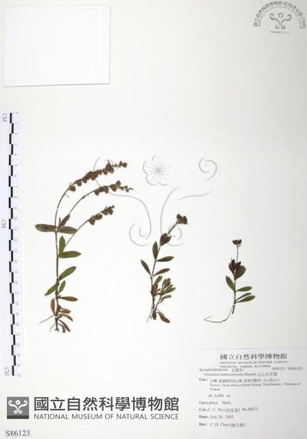 玉山水苦賈藏品圖，第1張