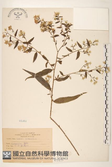 臺灣劉寄奴藏品圖，第1張