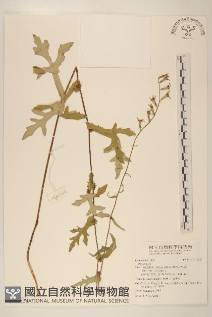 登錄號:S116823藏品圖，第1張