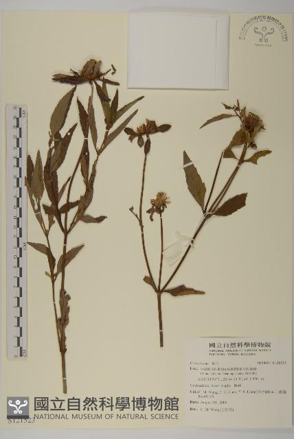 登錄號:S121523藏品圖，第1張