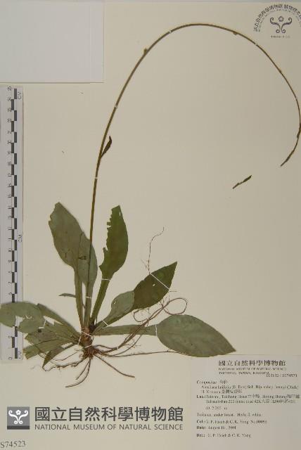 臺灣鬼督郵藏品圖，第1張