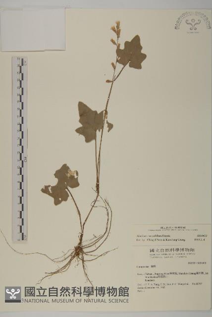 中原氏鬼督郵藏品圖，第1張