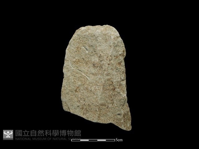 斧鋤形器藏品圖，第1張
