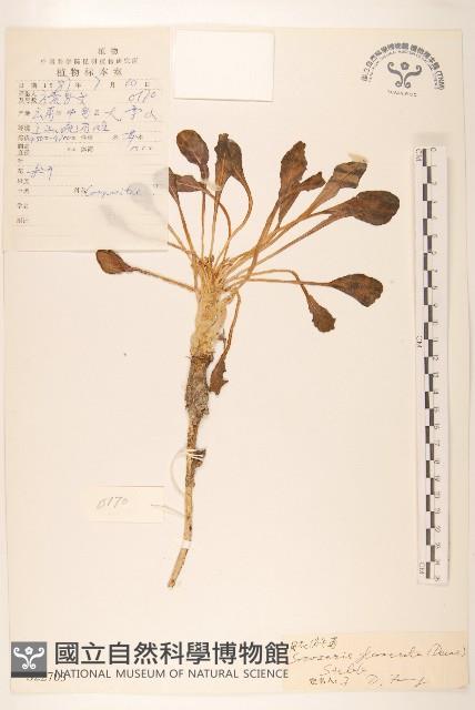 登錄號:S022703藏品圖，第1張