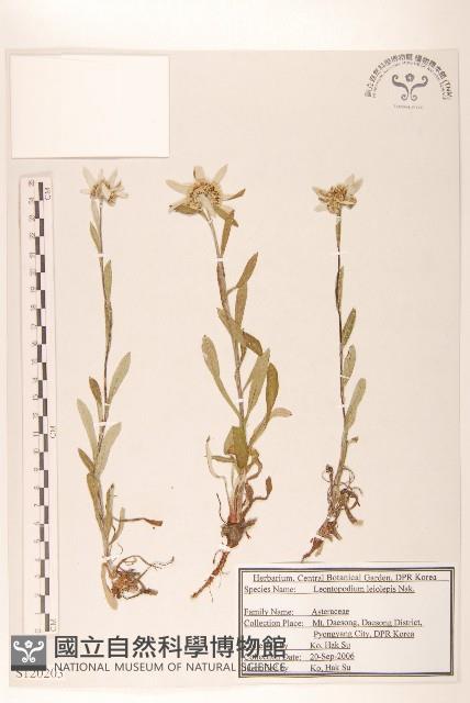 登錄號:S120203藏品圖，第1張