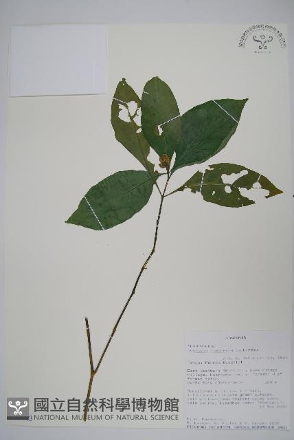 登錄號:S096403藏品圖，第1張