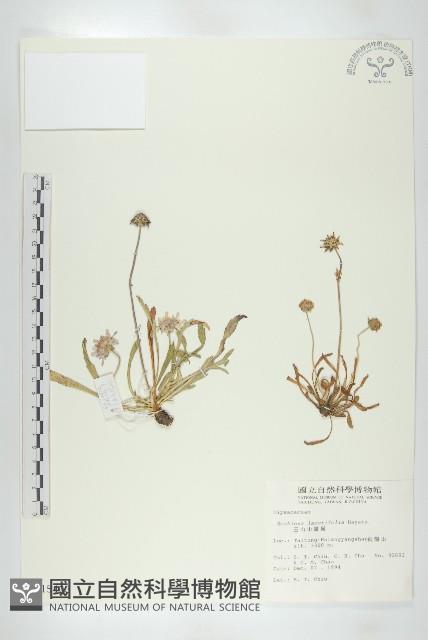 Accession Number:S015403 Collection Image, Figure 1, Total 2 Figures