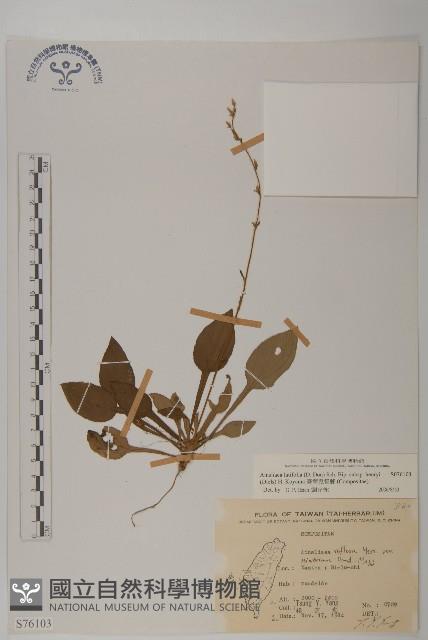 臺灣鬼督郵藏品圖，第1張