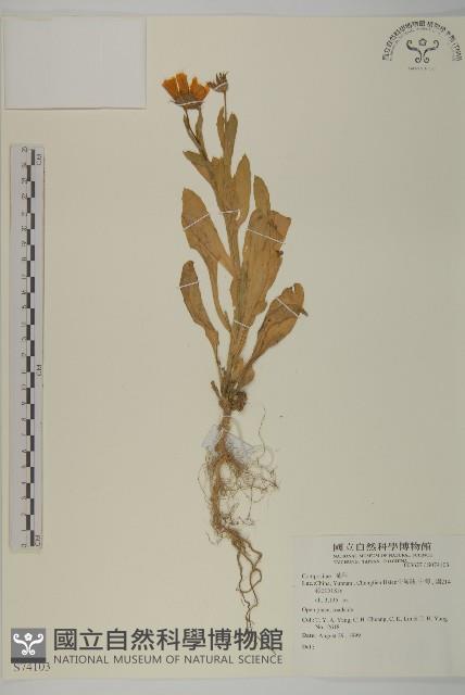 登錄號:S074103藏品圖，第1張