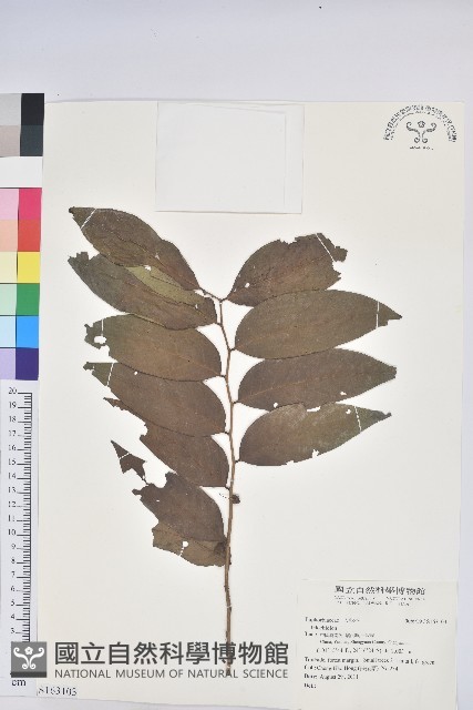 登錄號:S163103藏品圖，第1張