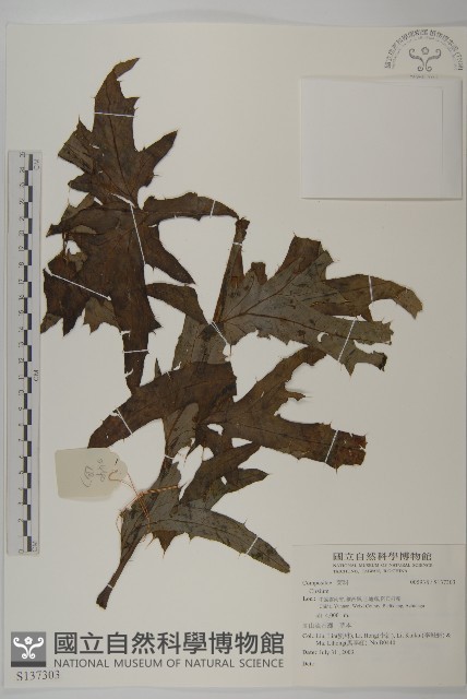 登錄號:S137303藏品圖，第1張