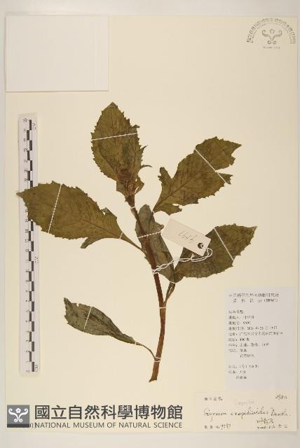 Accession Number:S102803 Collection Image, Figure 1, Total 2 Figures