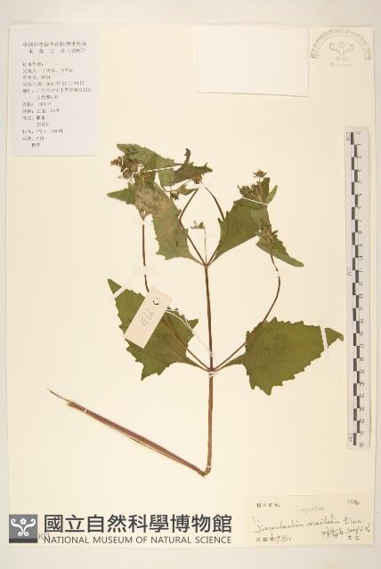 豨簽藏品圖，第1張