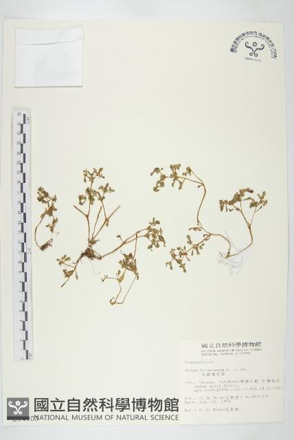 Accession Number:S014903 Collection Image, Figure 1, Total 2 Figures