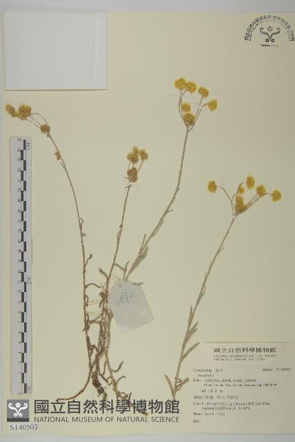 登錄號:S140503藏品圖，第1張