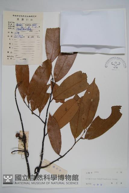 登錄號:S045713藏品圖，第1張