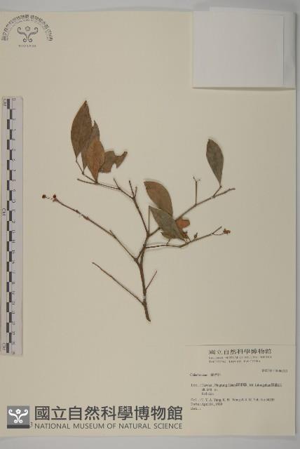 登錄號:S046213藏品圖，第1張