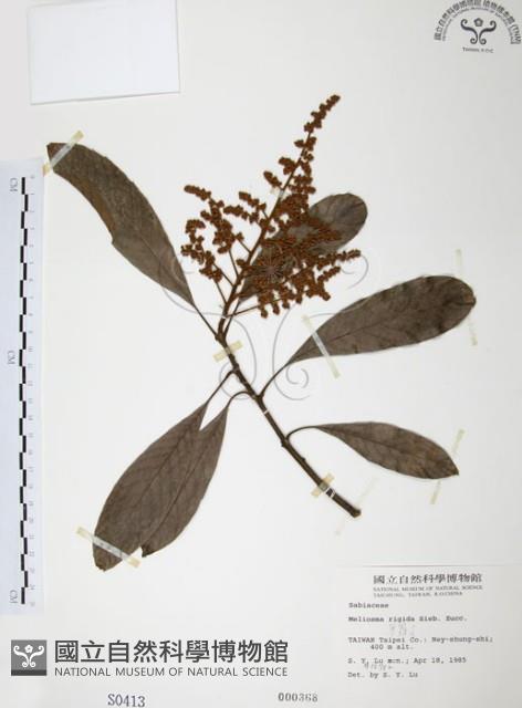 筆羅子藏品圖，第1張