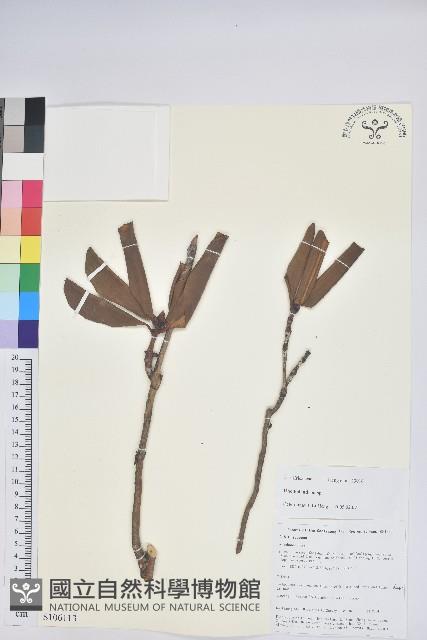 登錄號:S106113藏品圖，第1張