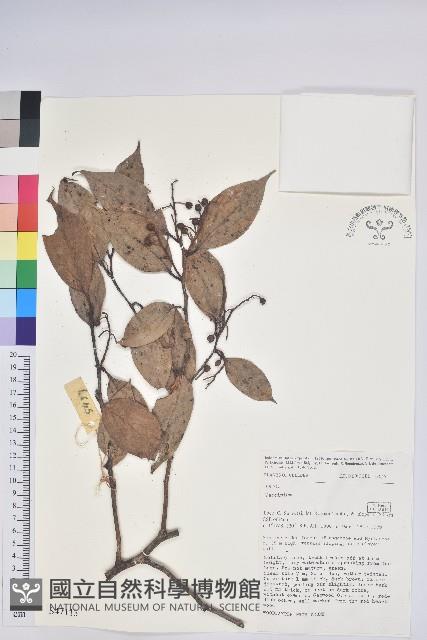 登錄號:S047113藏品圖，第1張