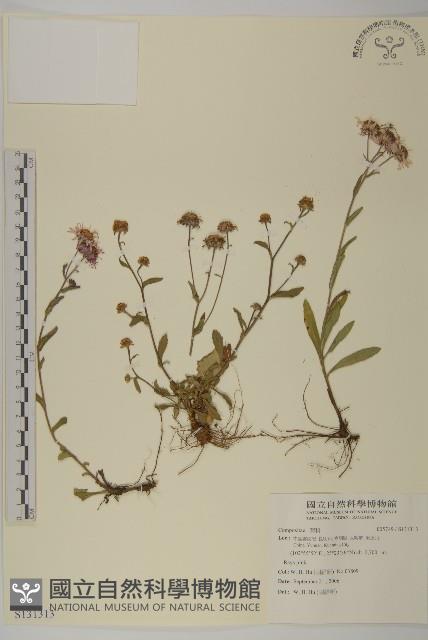 登錄號:S131313藏品圖，第1張