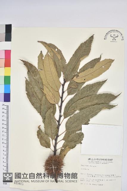 登錄號:S011653藏品圖，第1張