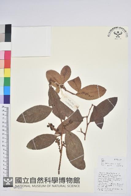 地檀香藏品圖，第1張