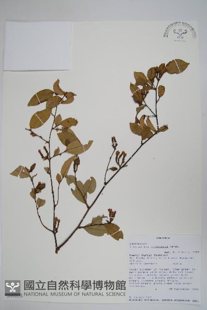 登錄號:S096053藏品圖，第1張