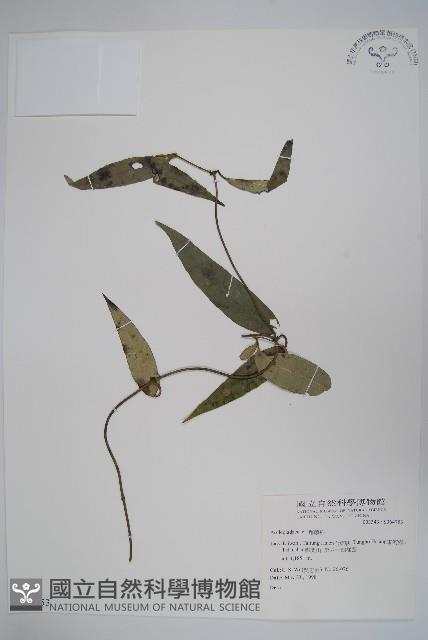 登錄號:S064753藏品圖，第1張