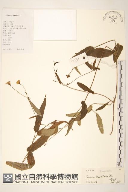 閩粵千里光藏品圖，第1張