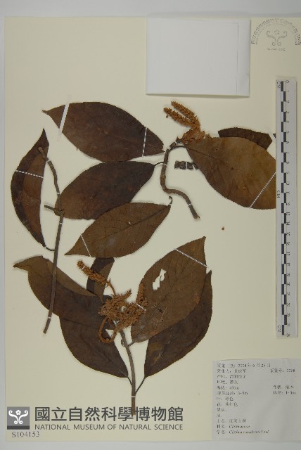 江南山柳藏品圖，第1張