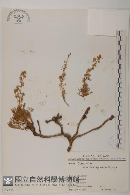 高山艾藏品圖，第1張